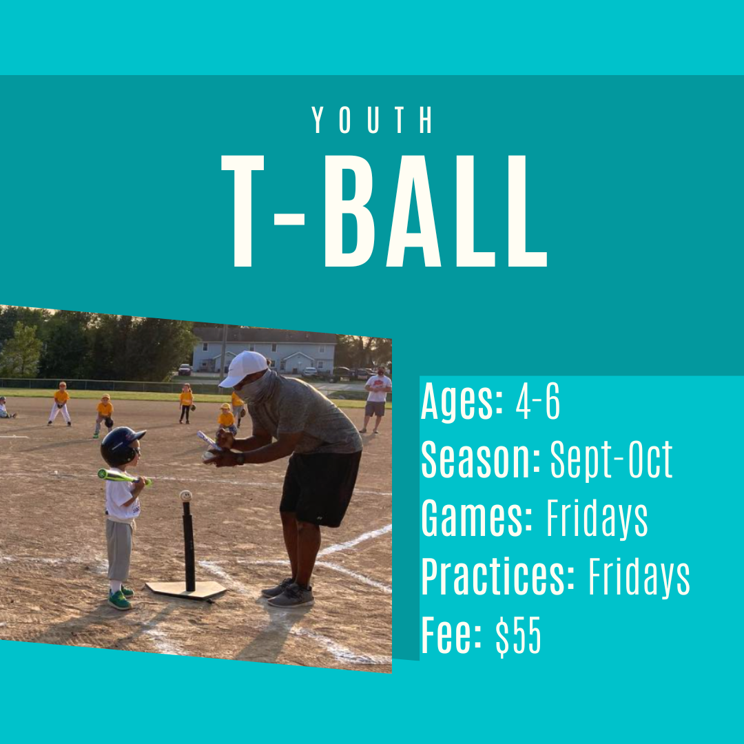 T-Ball fall